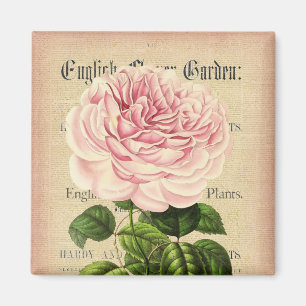 Rosen-BlumenVintager weiblicher Blumenmagnet Magnet