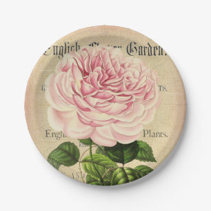 Rosen-BlumenVintager weiblicher BlumenpapierTeller Pappteller