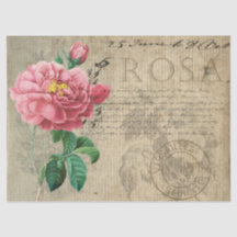 Rosen Dekor