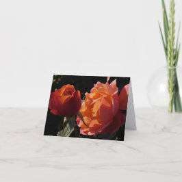 Rosen-Garten-Fine-Art-Fotografie-Karten Dankeskarte