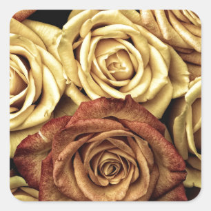 Rosen gelb und rot quadratischer aufkleber