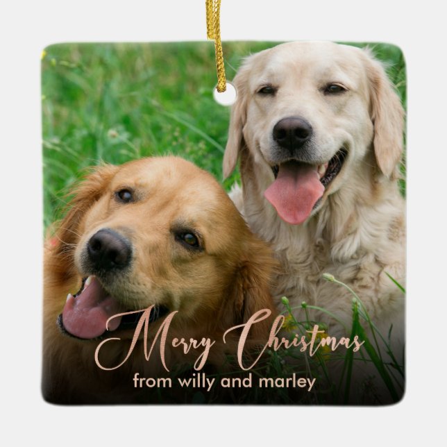 Rosen Gold Pet Foto Script Weihnachten Keramikornament (Vorderseite)