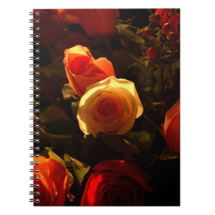 Rosen I, Orange, Rot und Goldruhm Notizblock