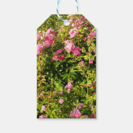 Rosen in Blüte Geschenkanhänger