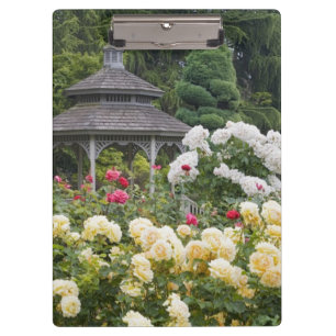 Rosen in Blüte und Gazebo-Rosengarten am Klemmbrett