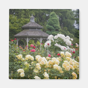 Rosen in Blüte und Gazebo Rosengarten am Magnet