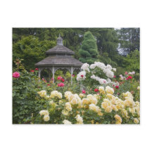 Rosen in Blüte und Gazebo-Rosengarten in der