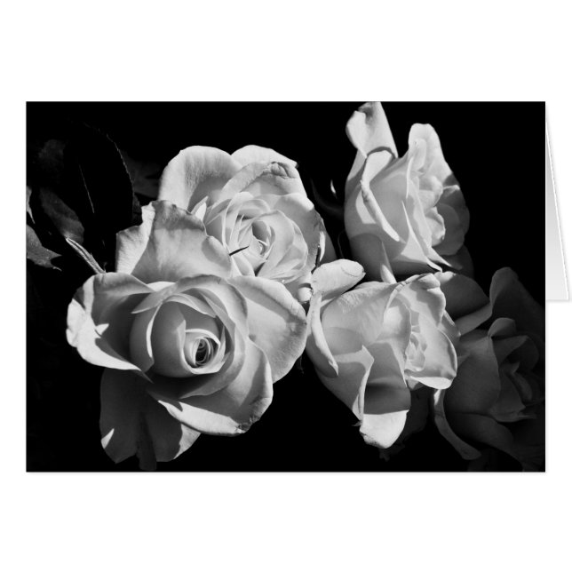 Rosen in Schwarz und Weiß (Vorderseite (Horizontal))