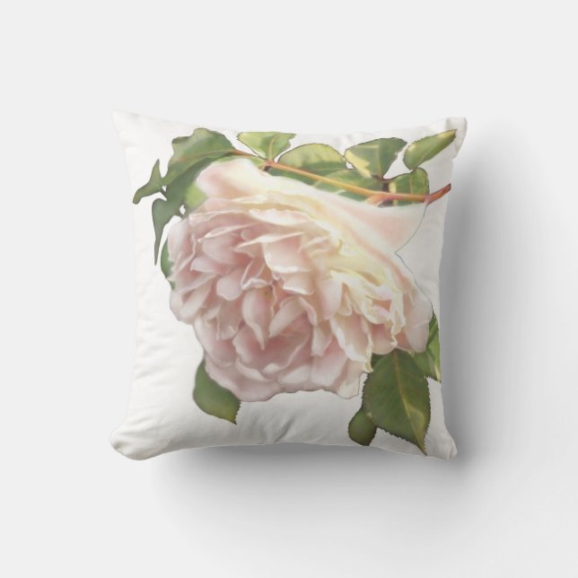 Rosen Ivory Peach Rose Kissen (Vorderseite)