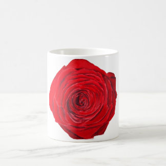 Rosen Kaffeetasse