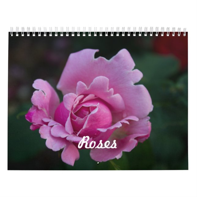 Rosen Kalender (Titelbild)