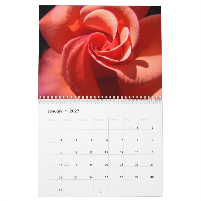 Rosen-Kalender-Mitte meiner Kalender (Jan 2027)