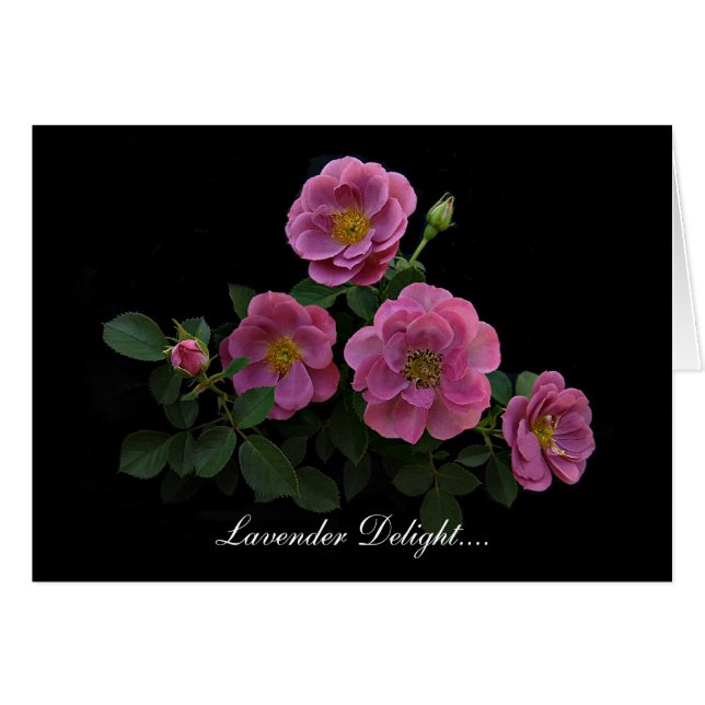 Rosen-Karten durch Stan das Roseman (Vorderseite (Horizontal))