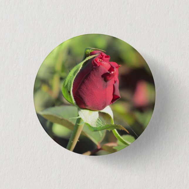 Rosen-Knospe Button (Vorderseite)