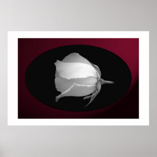Rosen-Knospe (Schwarzes u. Weiß) Poster