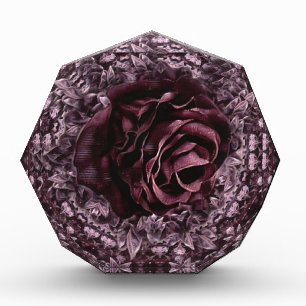 Rosen-Mandala  Fotoblock