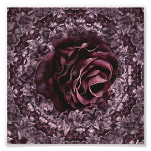 Rosen-Mandala Fotodruck