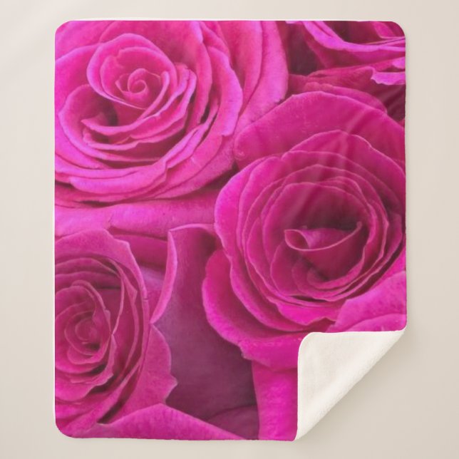 Rosen (Mittel), rosa Sherpadecke (Vorderseite)