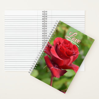 Rosen Notizbuch