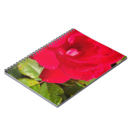 Rosen Notizbuch Notizblock