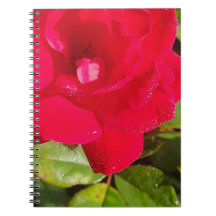 Rosen Notizbuch