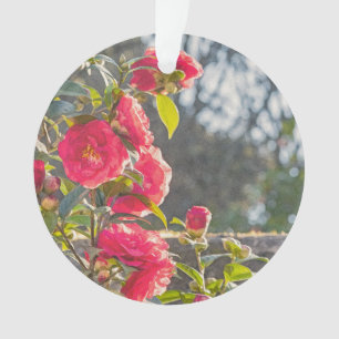 Rosen  ornament