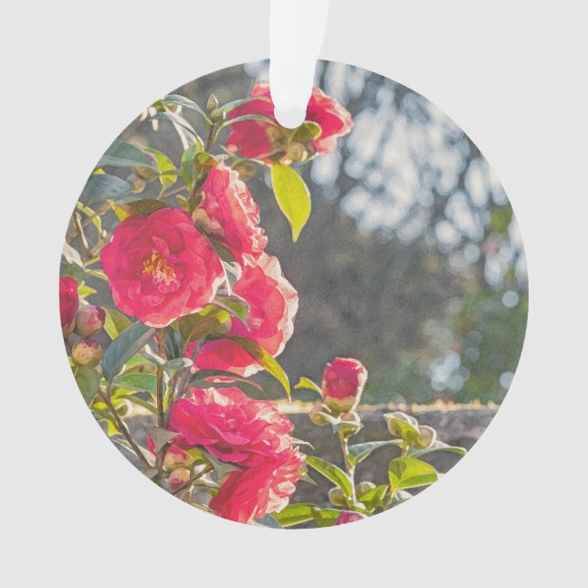 Rosen  ornament (Vorderseite)