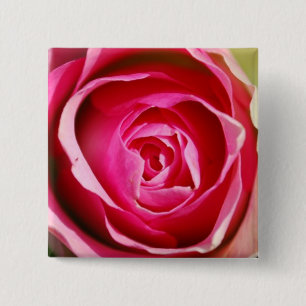 Rosen-Pedale Button