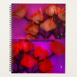 ROSEN PLANER