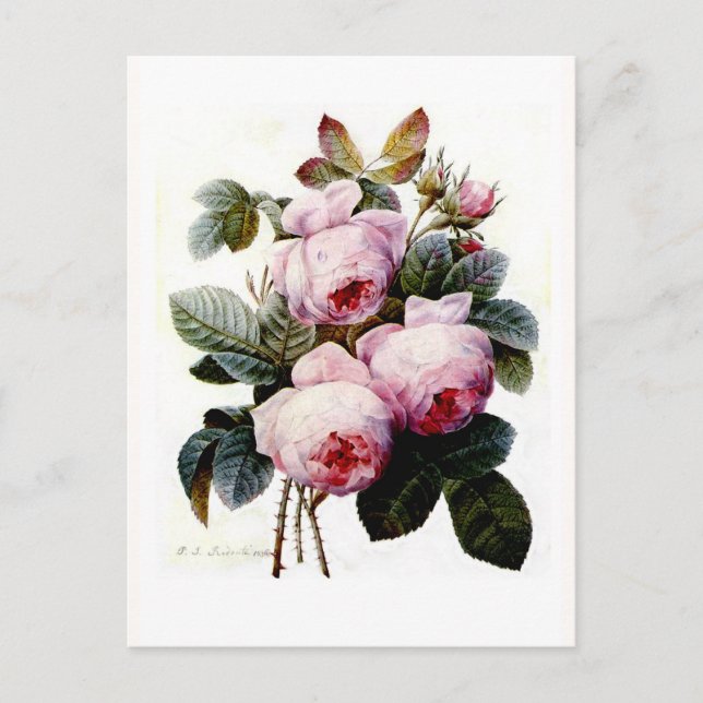 Rosen Postkarte (Vorderseite)