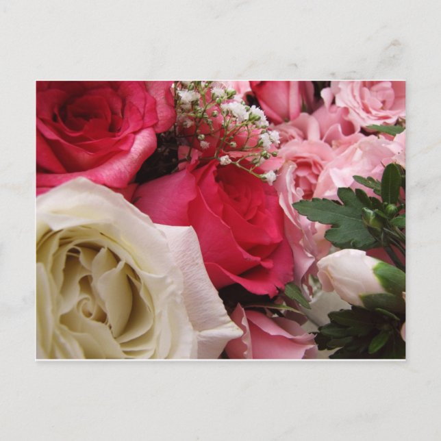 Rosen Postkarte (Vorderseite)