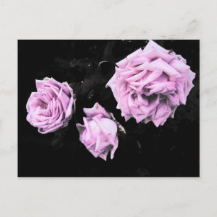 Rosen Postkarte