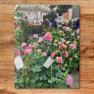 Rosen Puzzle