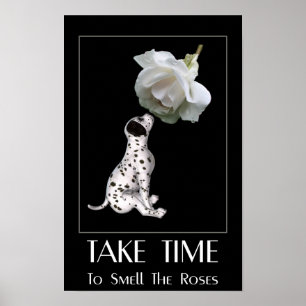 Rosen Riechen Dalmatiner Welpe Inspirierend Poster