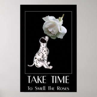 Rosen Riechen Dalmatiner Welpe Inspirierend Poster