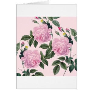 Rosen-rosa Vintager Traum