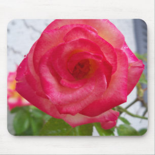 Rosen Rosen Rosen Mousepad