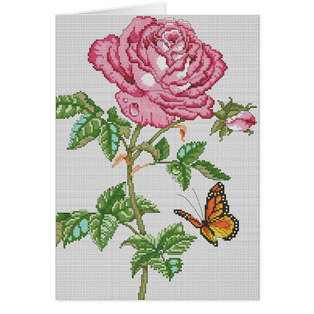 Rosen-Schönheit (Vorne)