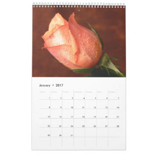 Rosen-Single-Kalender-Kalender 2017 Kalender