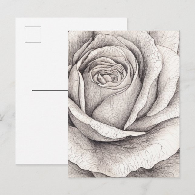 Rosen-Skizze  Postkarte (Vorne/Hinten)