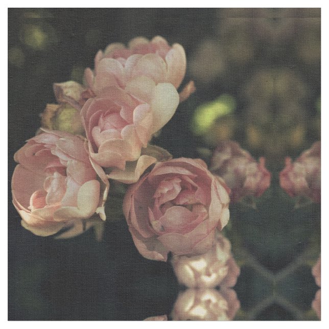 Rosen Stoff (Nahaufnahme)