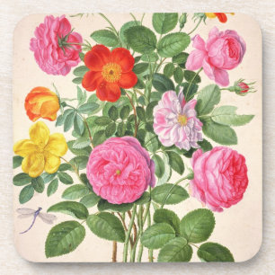 Rosen, überziehen 4 vom NassauFlorilegium (w/c an Untersetzer