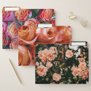 Rosen und Gartennelke mit Blumen Papiermappe