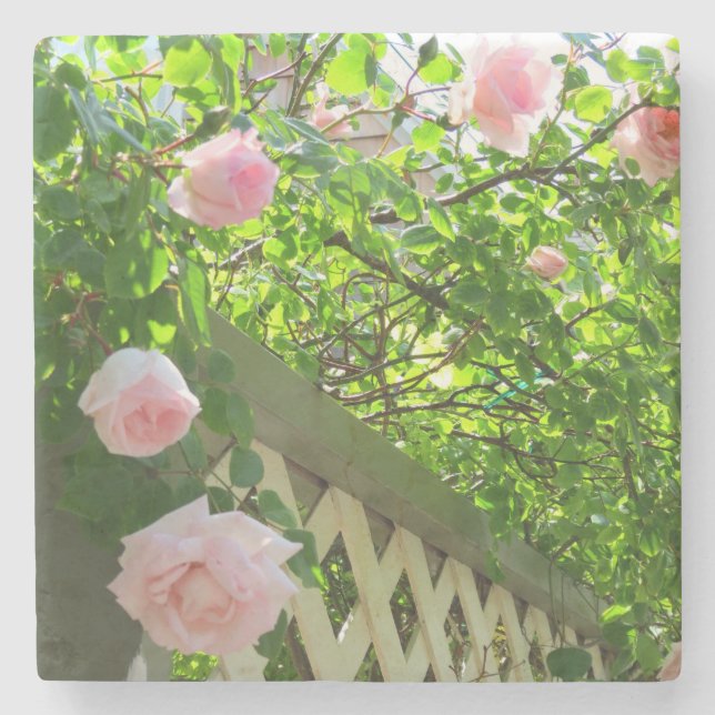 Rosen und Gitter - Martha's Vineyard Steinuntersetzer (Vorderseite)