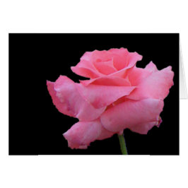 Rosen-und Schokoladen-Karte