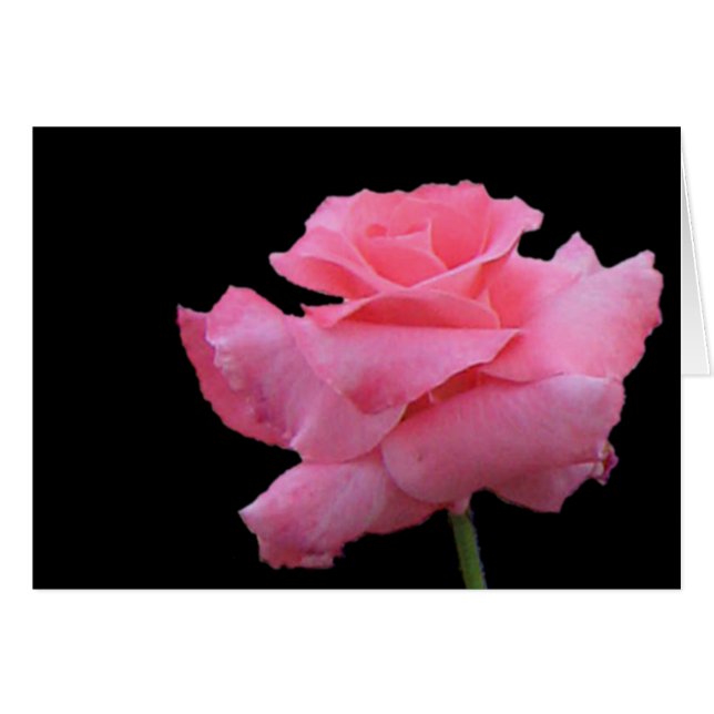 Rosen-und Schokoladen-Karte (Vorderseite (Horizontal))