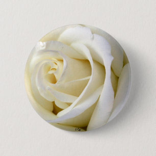 Rosen-Weiß Button