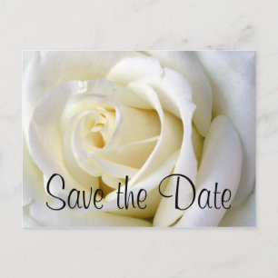 Rosen-Weiß, Save the Date Postkarte