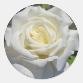 Rosenaufkleber Runder Aufkleber