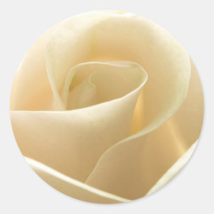 Rosenaufkleber Runder Aufkleber